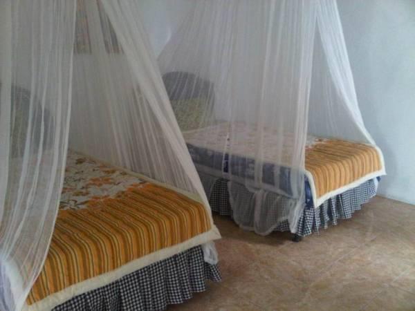 Taman Ayu Homestay Munduk Mitra Reddoorz Exterior photo